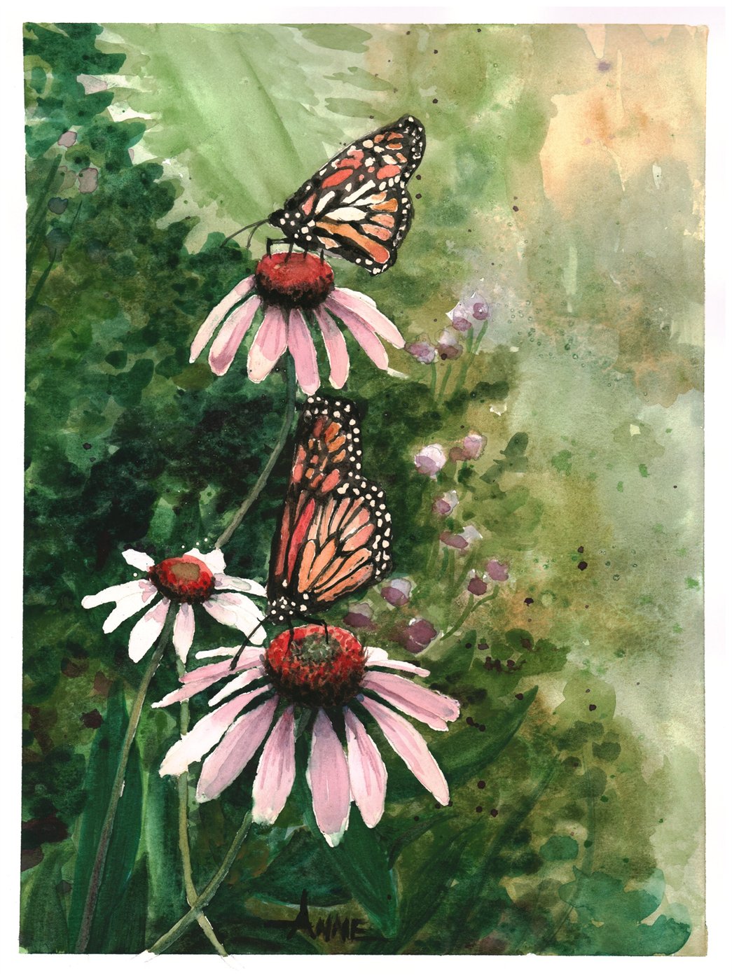 Watercolor of orange butterflies resting on pink coneflowers against deep green