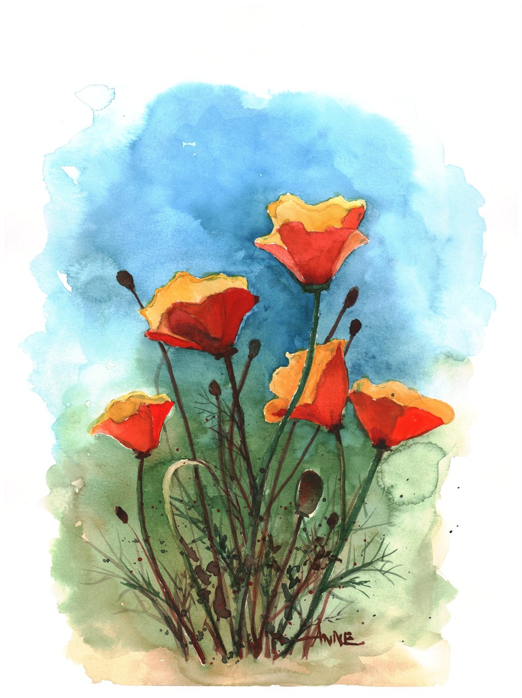 Watercolor of orange California poppies on wiry stems against a blue-sky wash