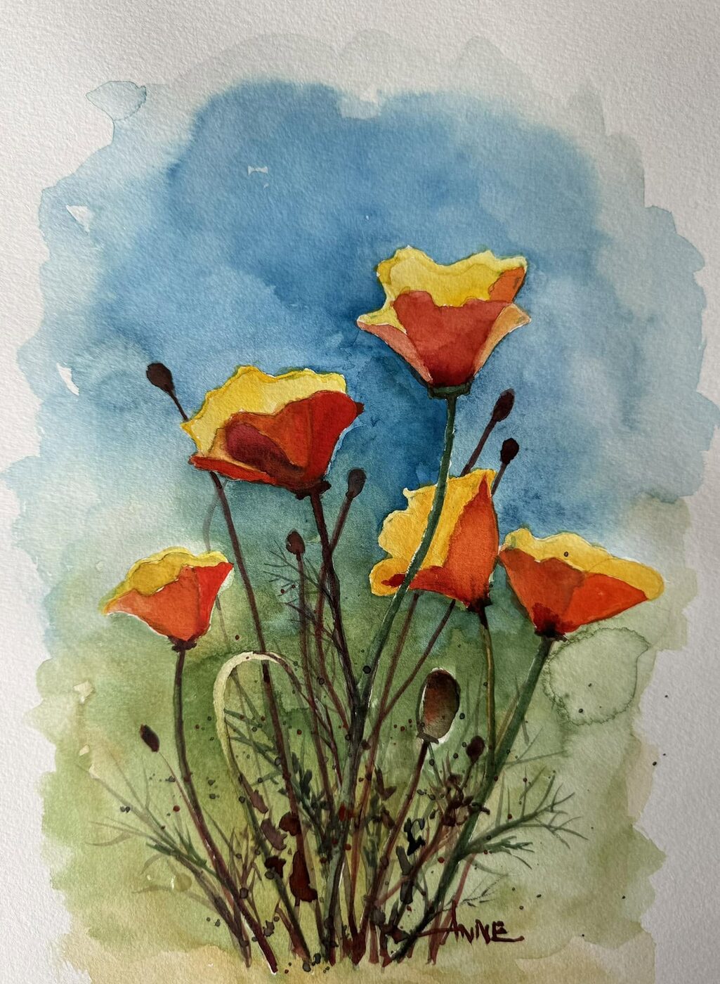 Watercolor of orange California poppies on wiry stems against a blue-sky wash