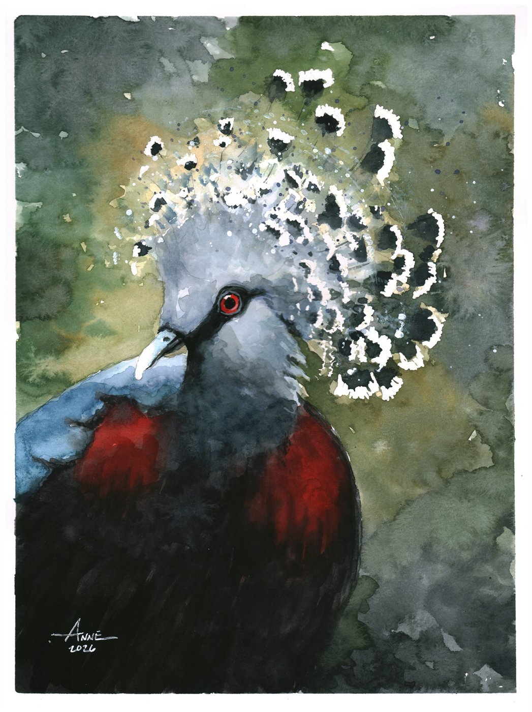 Watercolor of a blue-grey crowned pigeon with a lacy white-tipped crest, red eye and deep red chest, against mossy green