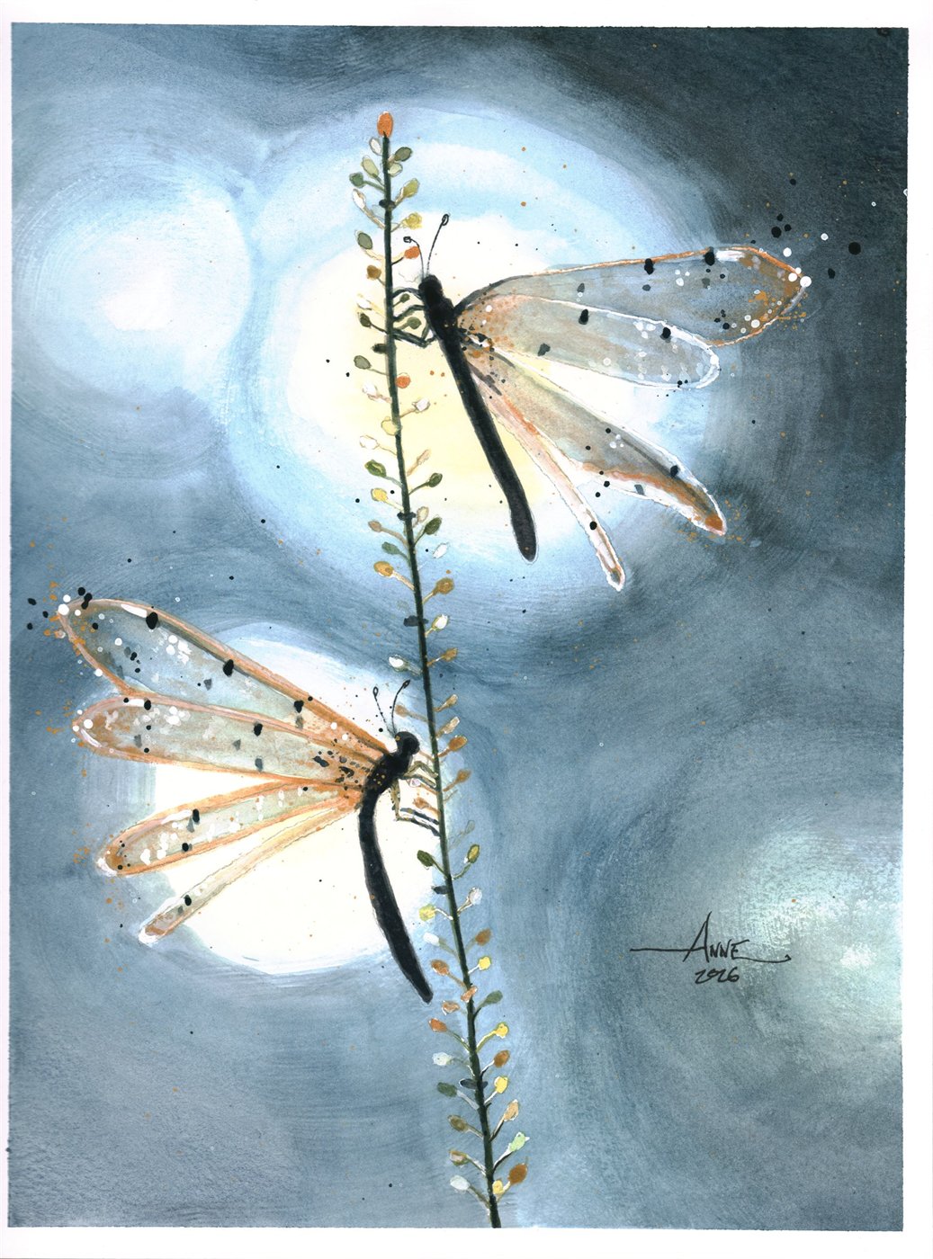 Watercolor of two dragonflies on a seed stem against glowing moonlit grey
