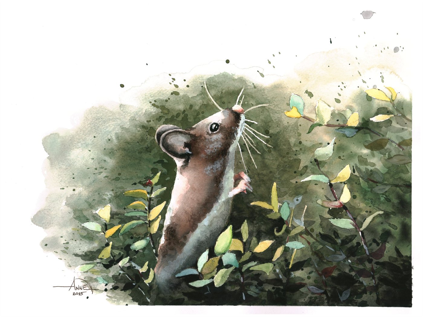 Watercolor of a field mouse standing upright among leafy green undergrowth