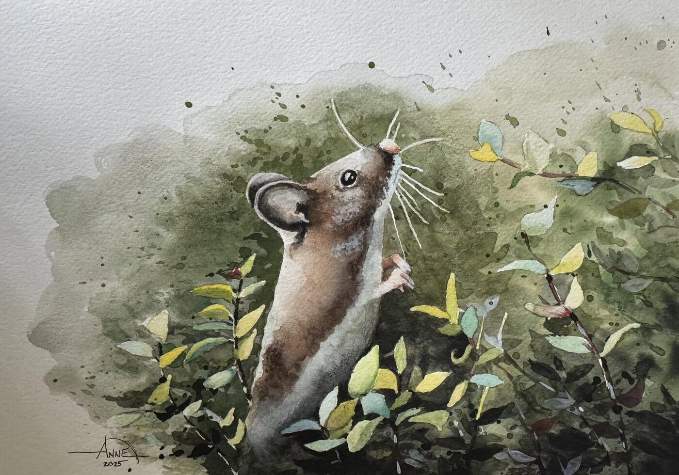 Watercolor of a field mouse standing upright among leafy green undergrowth