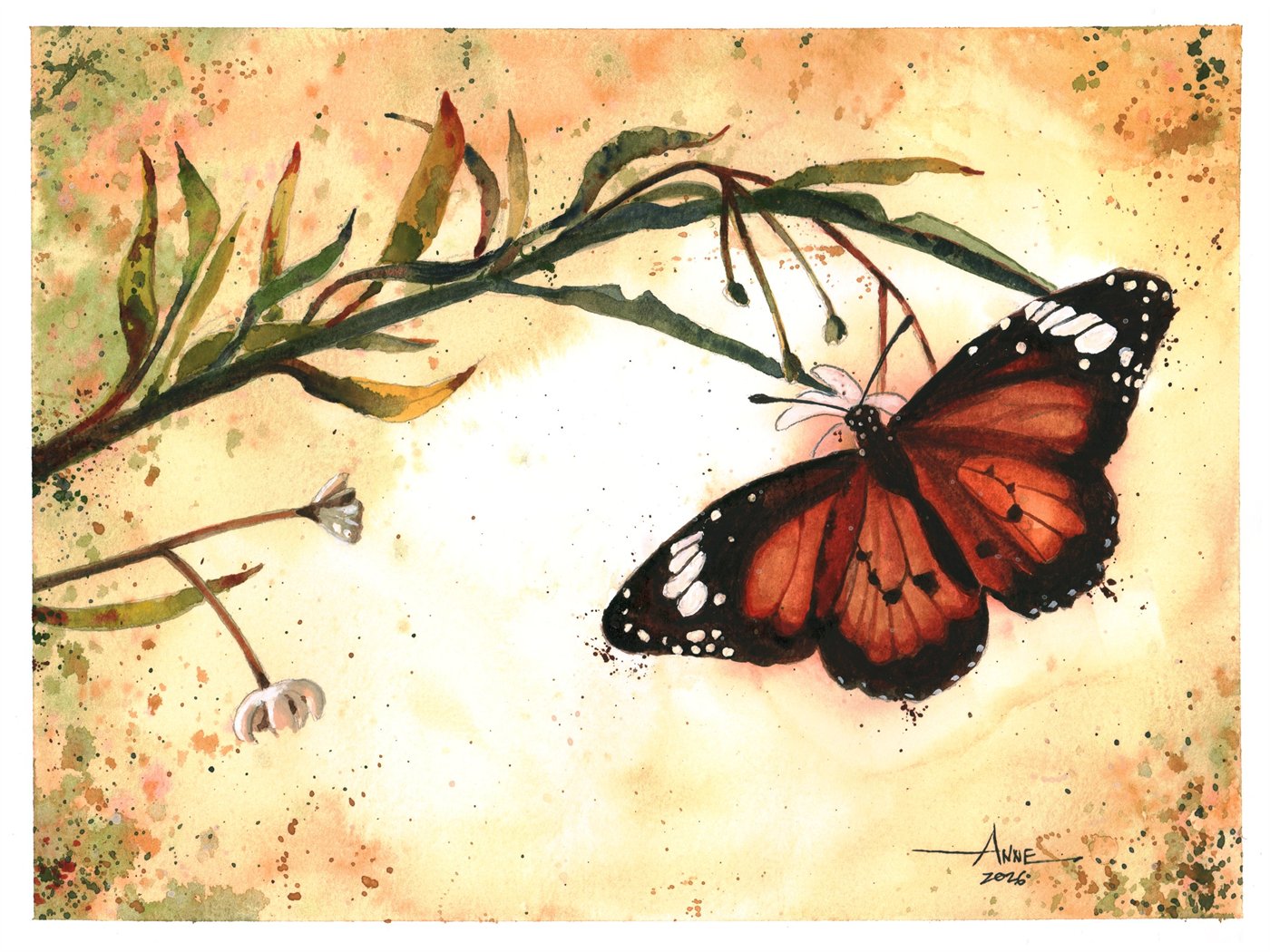 Watercolor of a monarch butterfly resting on a milkweed branch against a warm ochre wash