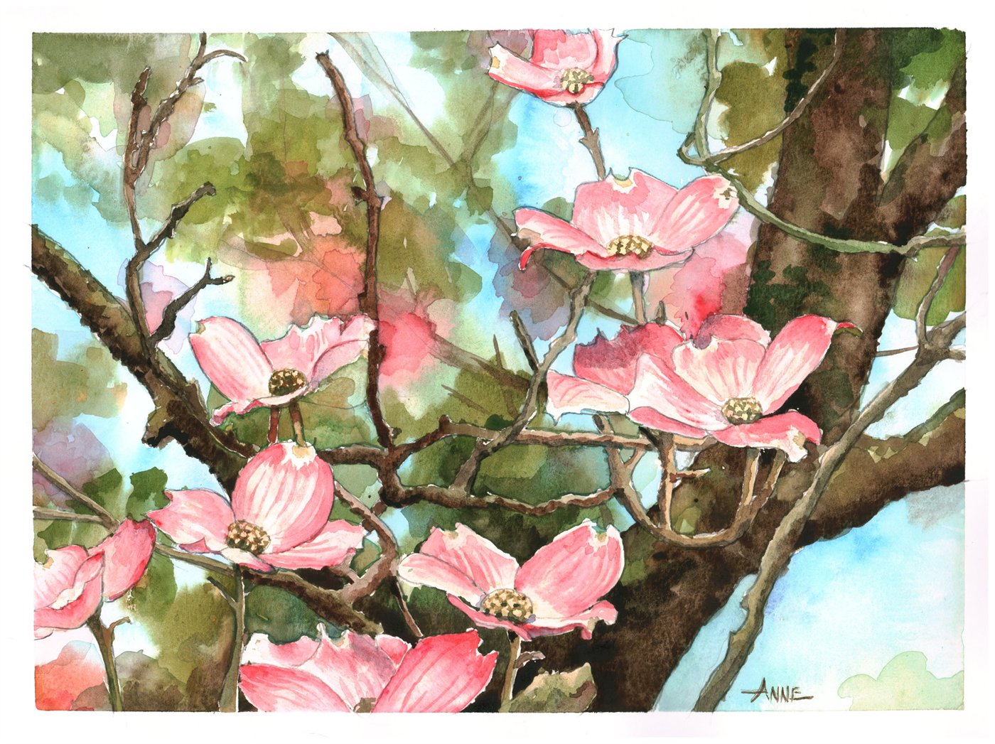 Watercolor of pink dogwood blossoms along a dark branch