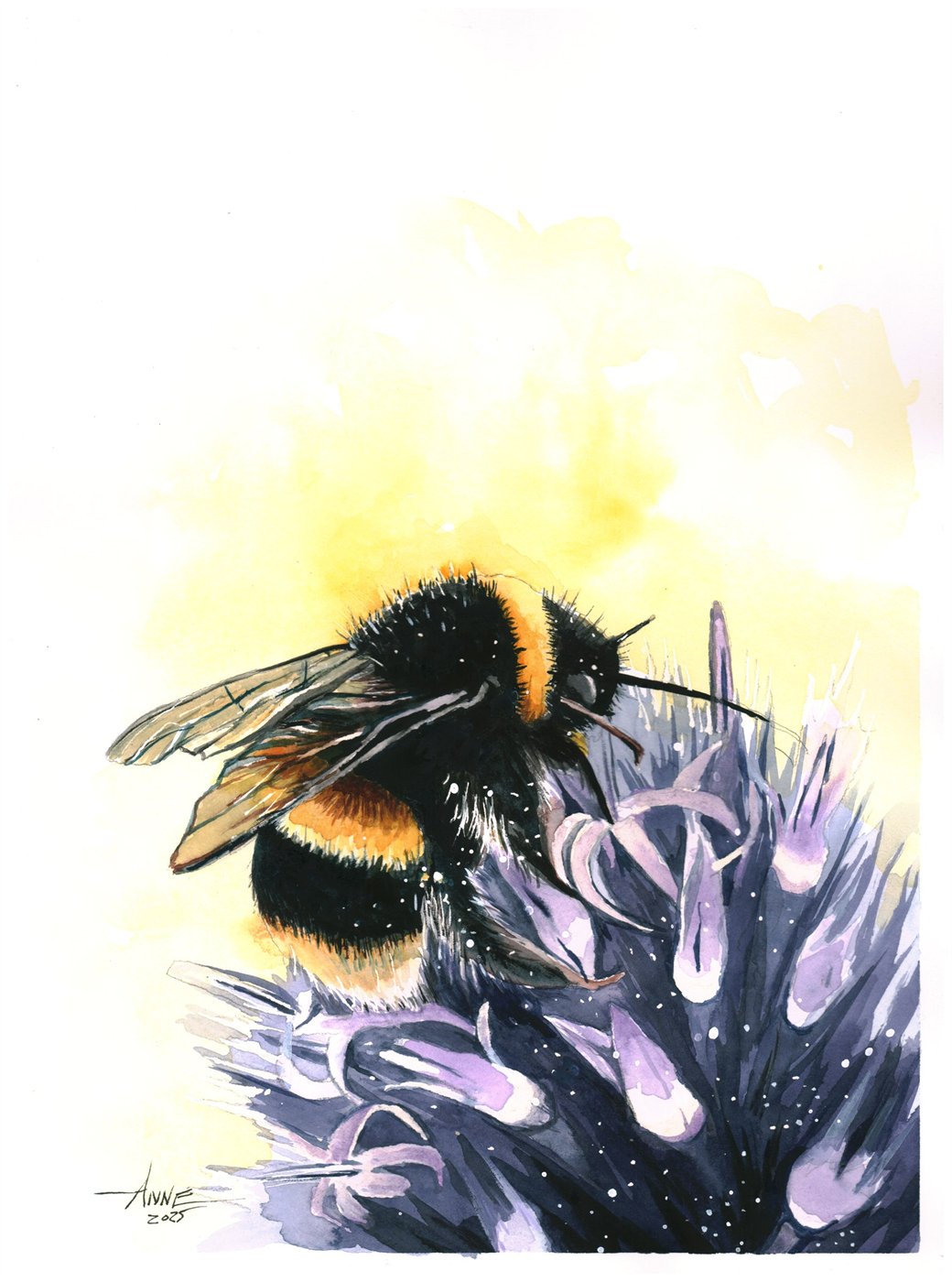 Watercolor of a bumblebee on a round purple flower head in warm yellow light