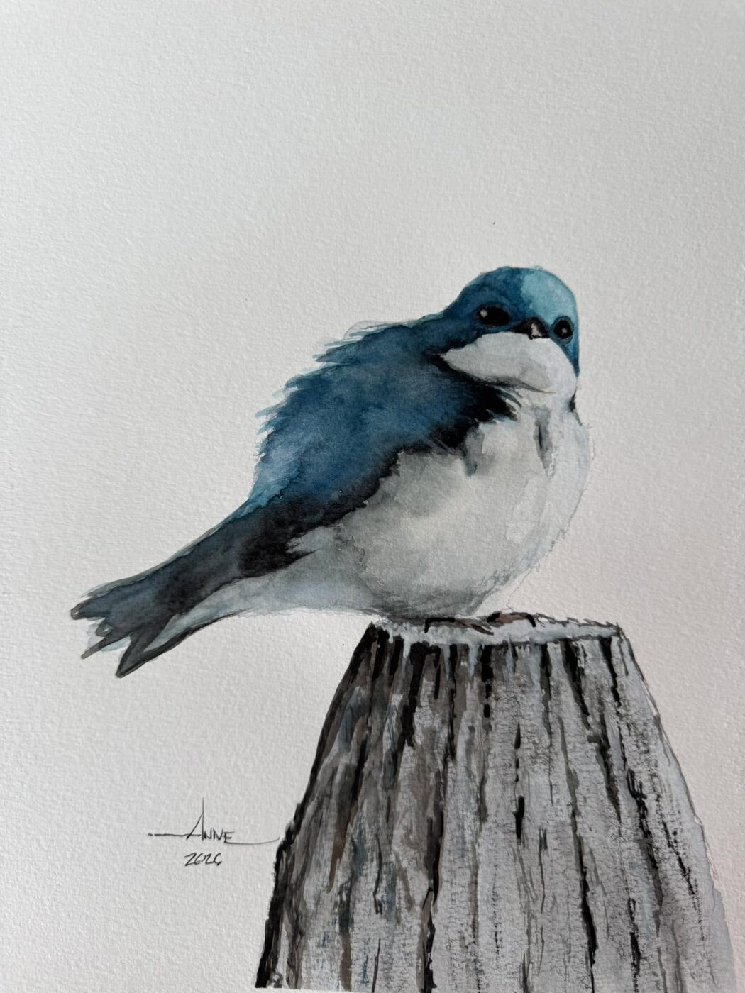 Watercolor of a plump tree swallow perched on a weathered grey post