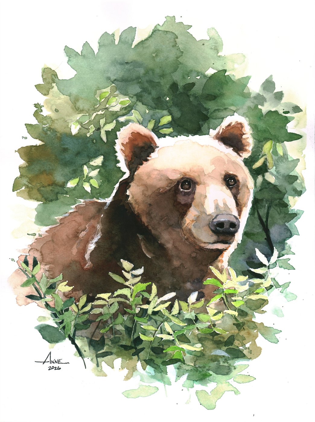 Watercolor of a brown grizzly bear among green leaves, looking off to one side