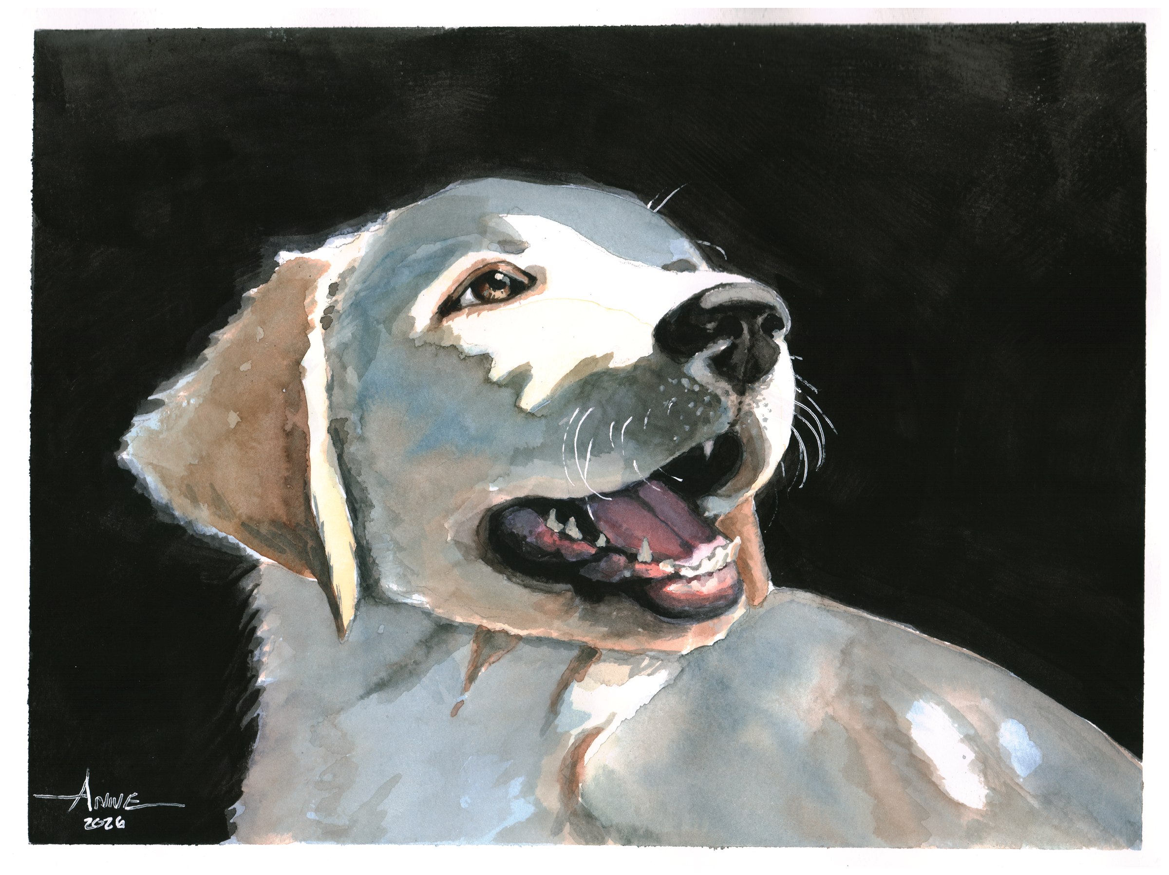 Watercolor of a golden puppy, mouth open, on a dark ground