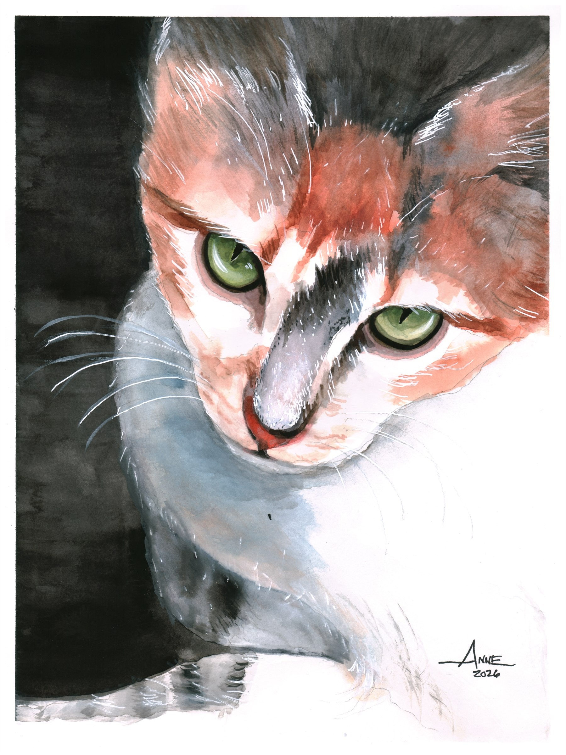 Watercolor of a calico cat with green eyes, looking down out of the shadows