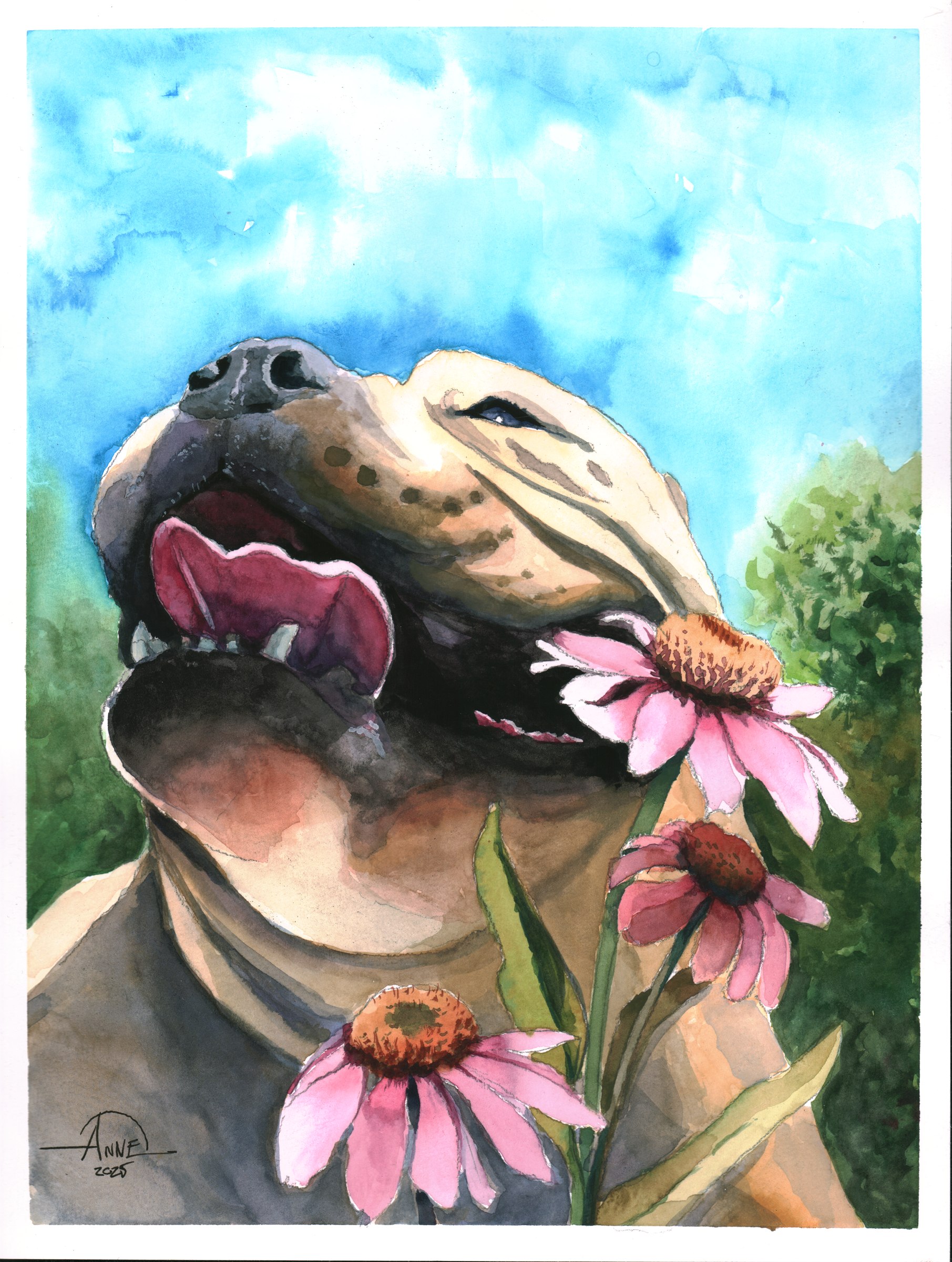 Watercolor of a smiling dog with its nose among pink coneflowers