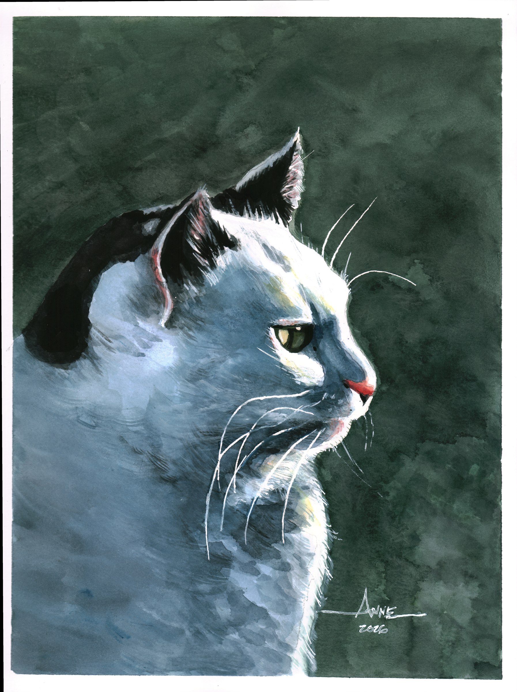 Watercolor of a black and white cat in profile on deep green