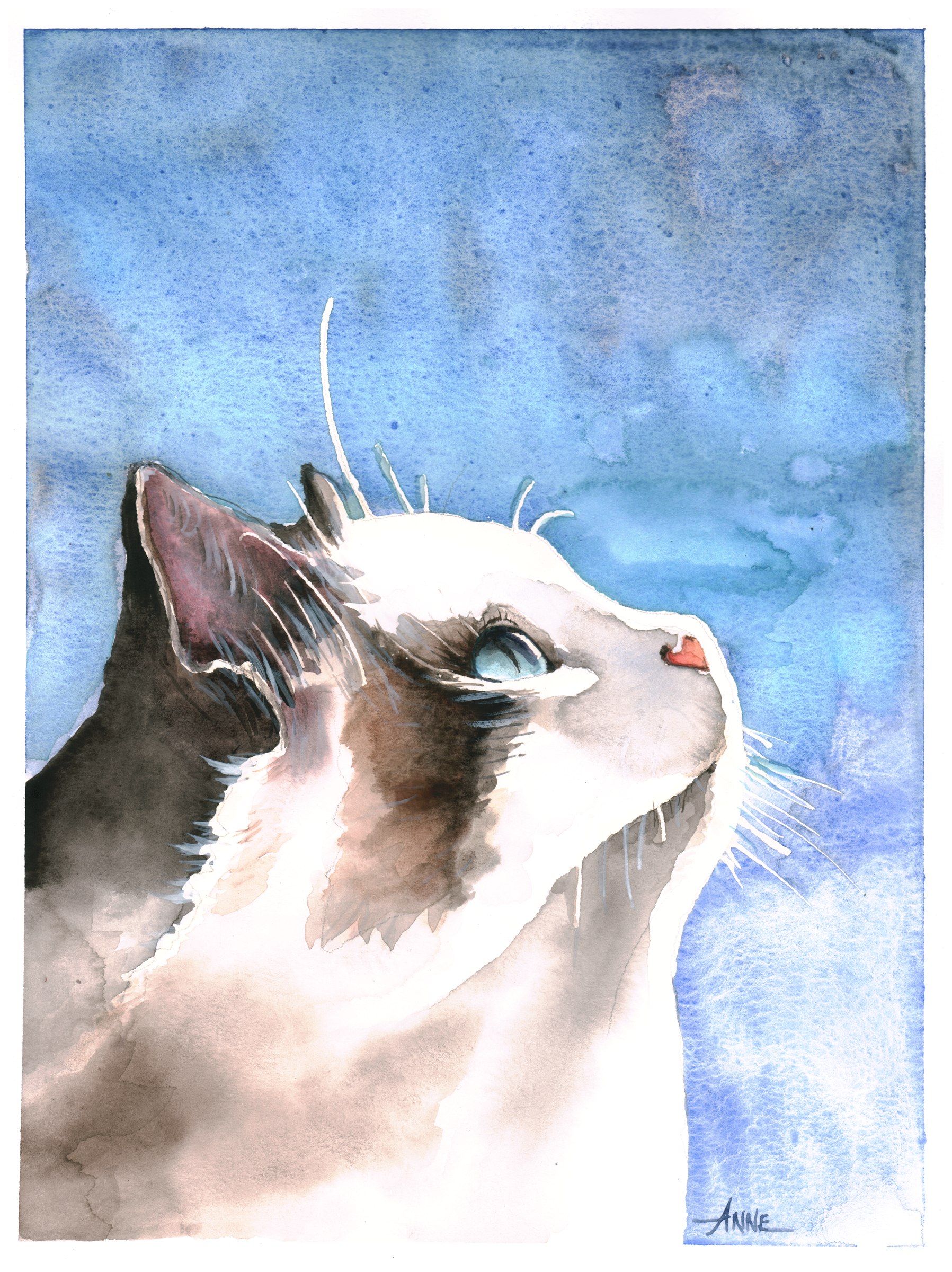 Watercolor of a cream and brown cat looking up into a blue wash