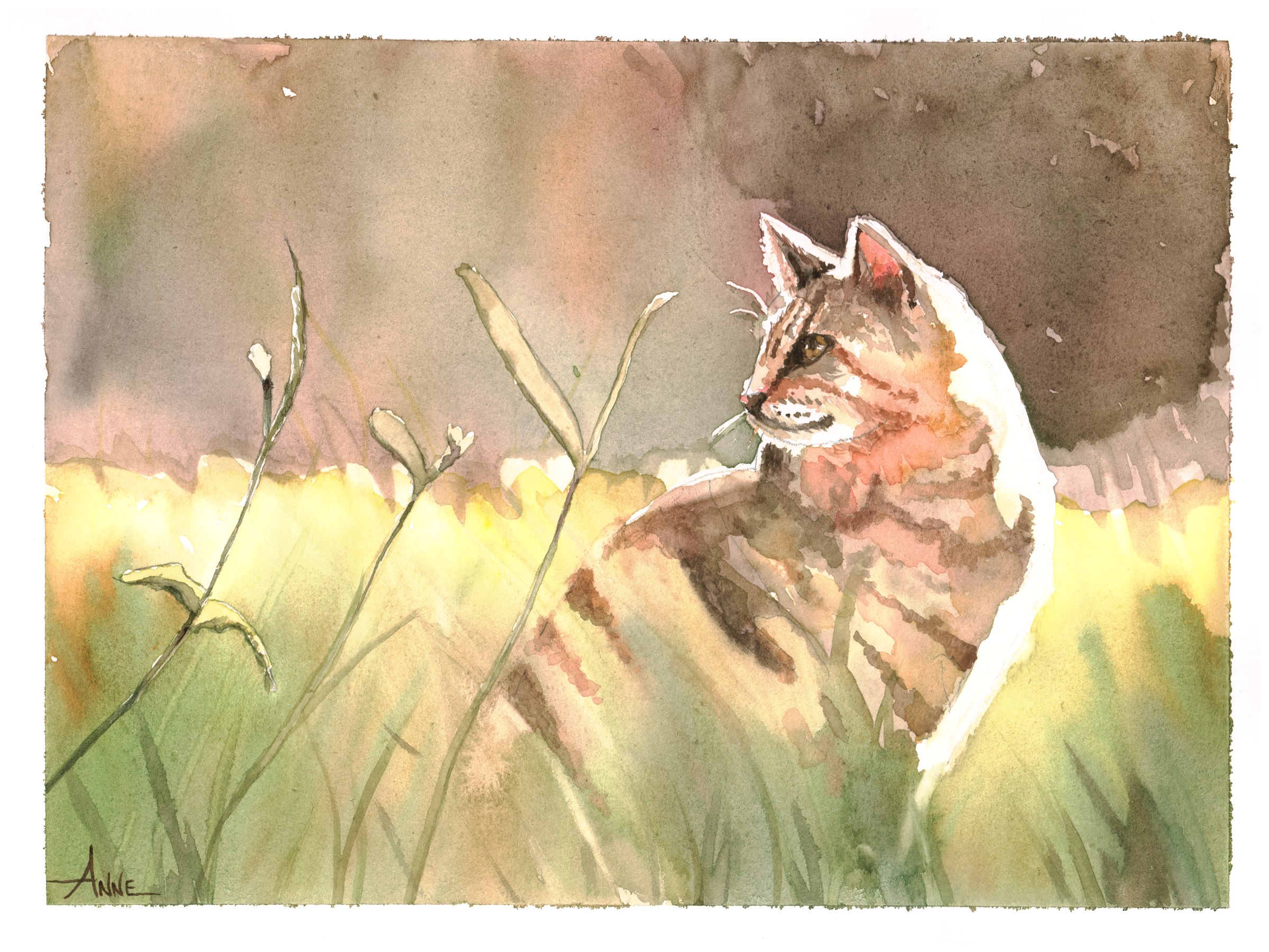 Watercolor of a tabby cat in sunlit grass, looking back over its shoulder
